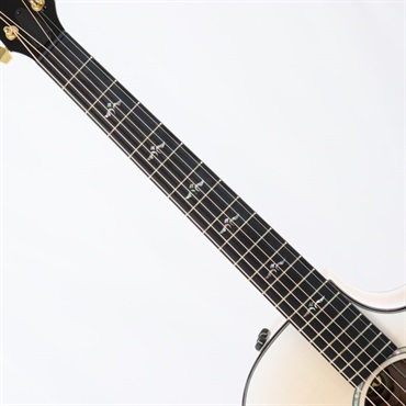 TAYLOR 【数量限定】50th Anniversary 614ce LTD [50周年記念モデル] テイラー 画像6