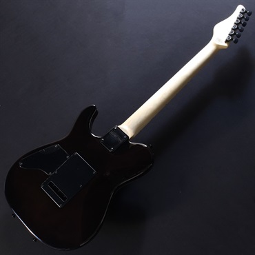 SCHECTER KR-24-2H-VTR-FM/M［Sound Messe 2024 Special Edition］#S2312087 画像5