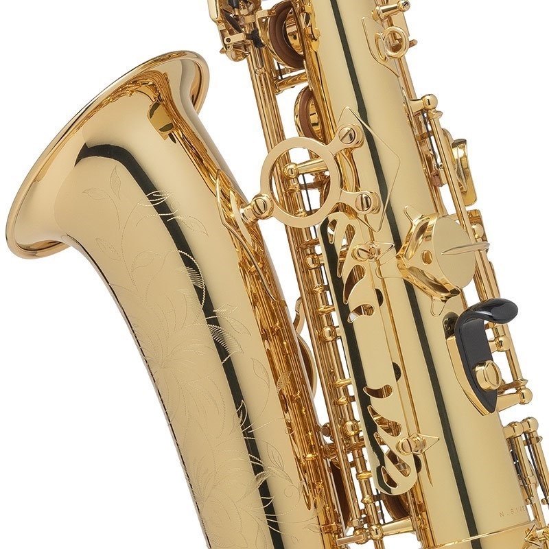 Selmer Paris 【中村誠一氏選定品】アルトサックス セルマー AXOS（アクソス） Second Generation 画像3