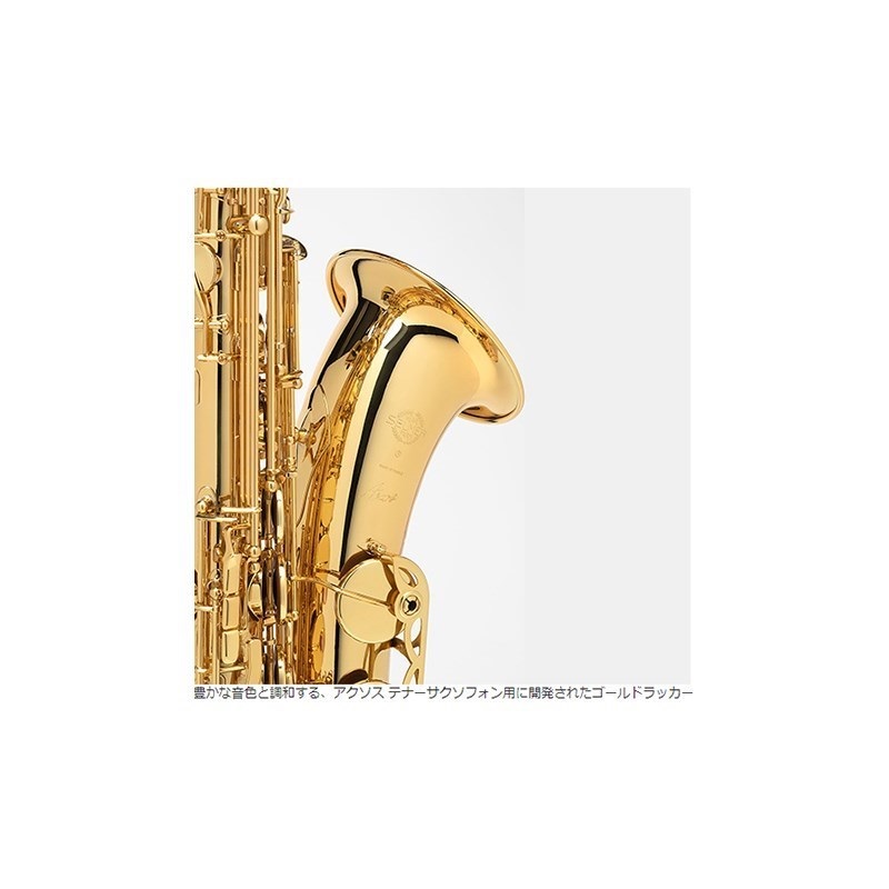 Selmer Paris 【中村誠一氏選定品】テナーサックス　セルマー AXOS（アクソス） 画像6