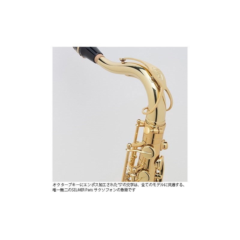 Selmer Paris 【中村誠一氏選定品】テナーサックス　セルマー AXOS（アクソス） 画像7