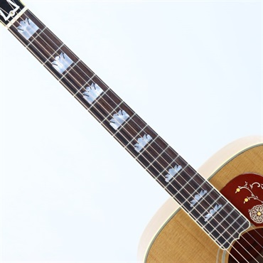 Gibson 【Gibsonファクトリー現地選定品】 1957 SJ-200 (AN) ギブソン 画像6