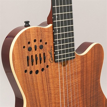 Godin ACS Nylon KOA Extreme HG ゴダン 画像6