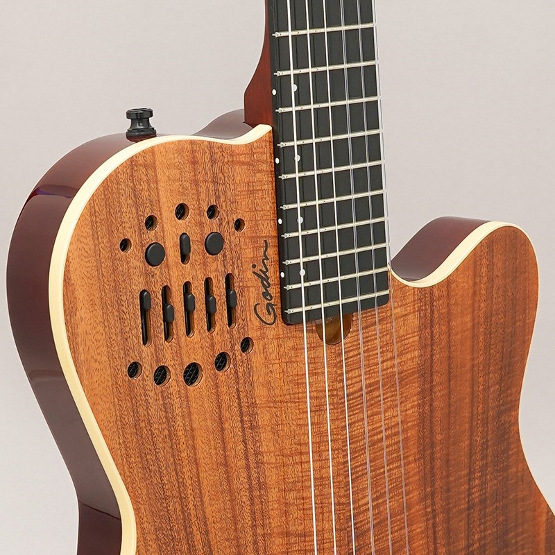 Godin ACS Nylon KOA Extreme HG ゴダン ｜イケベ楽器店オンラインストア