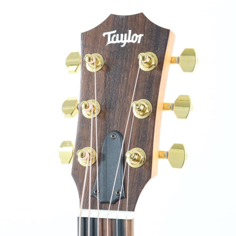 TAYLOR 【数量限定】50th Anniversary GS Mini-e Rosewood NAT LTD [50周年記念モデル] テイラー 画像4