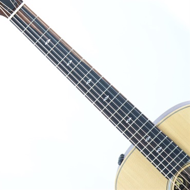 TAYLOR 【数量限定】50th Anniversary GS Mini-e Rosewood NAT LTD [50周年記念モデル] テイラー 画像6