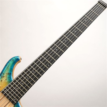 TUNE 【USED】 Zi III-6 Headless Burl Poplar (Blue Burst) 画像4