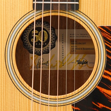 TAYLOR 【数量限定】GS Mini-e Rosewood LTD Natural Top [50周年記念モデル] テイラー 画像7