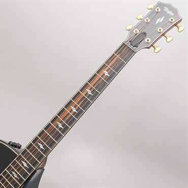 TAYLOR Builders Edition 814ce Black Top テイラー 画像9