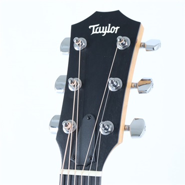 TAYLOR Custom 224ce-K DLK テイラー 画像4