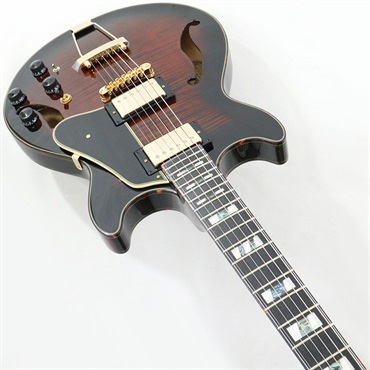 Ibanez ARTSTAR AMH100FM-DVS (Dark Violin Sunburst) [SPOT MODEL] 画像4