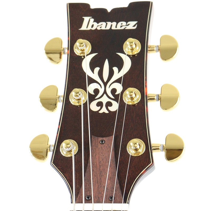 Ibanez ARTSTAR AMH100FM-DVS (Dark Violin Sunburst) [SPOT MODEL] 画像7