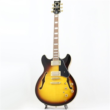 Ibanez JSM10EM-TTB (Two-tone Burst) [John Scofield Model] [SPOT MODEL] 画像1