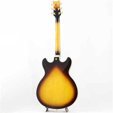 Ibanez JSM10EM-TTB (Two-tone Burst) [John Scofield Model] [SPOT MODEL] 画像2