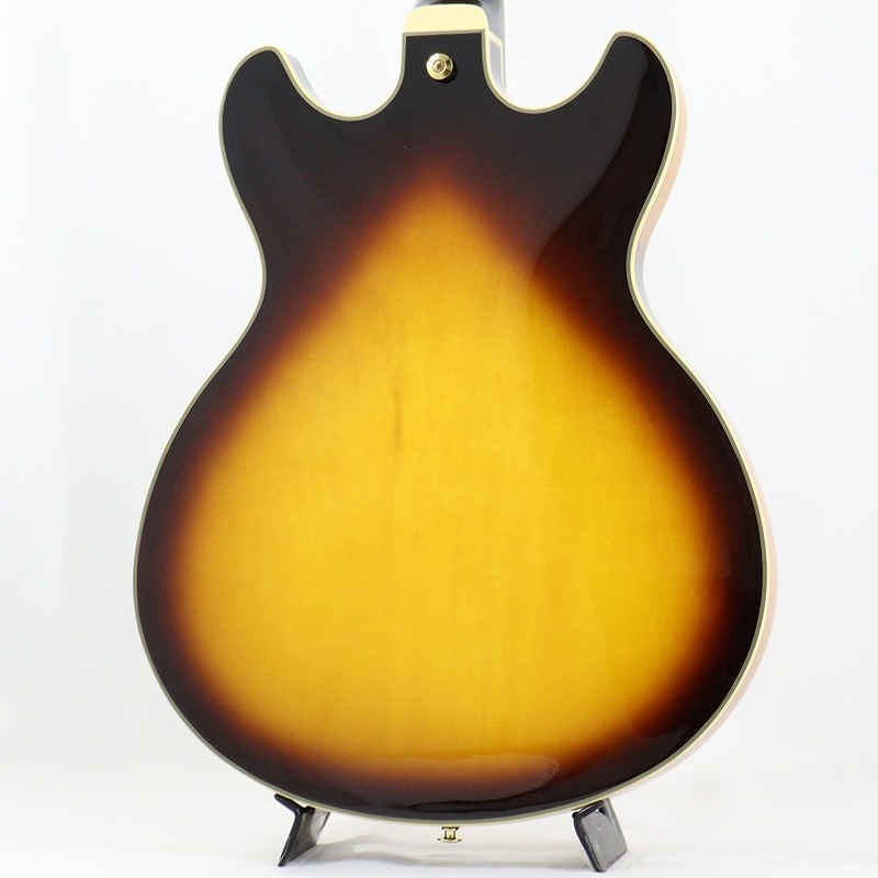 Ibanez JSM10EM-TTB (Two-tone Burst) [John Scofield Model] [SPOT MODEL] 画像3