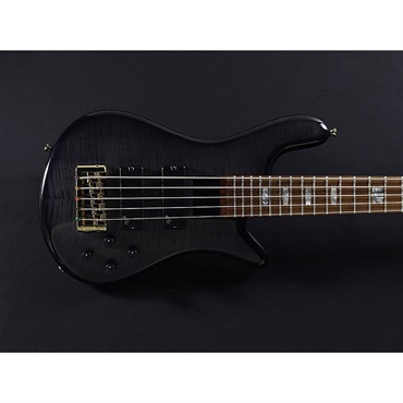 SPECTOR EuroBolt 5 Japan Exclusive (Black Burst) 【特価】 画像5