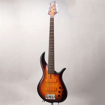 F-bass 【USED】 BN5 (Sunburst) 画像1