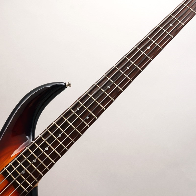 F-bass 【USED】 BN5 (Sunburst) 画像4