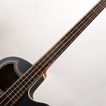 Warwick RockBass Alien Standard 4st Fretless (Solid Black Satin) 【特価】 画像4