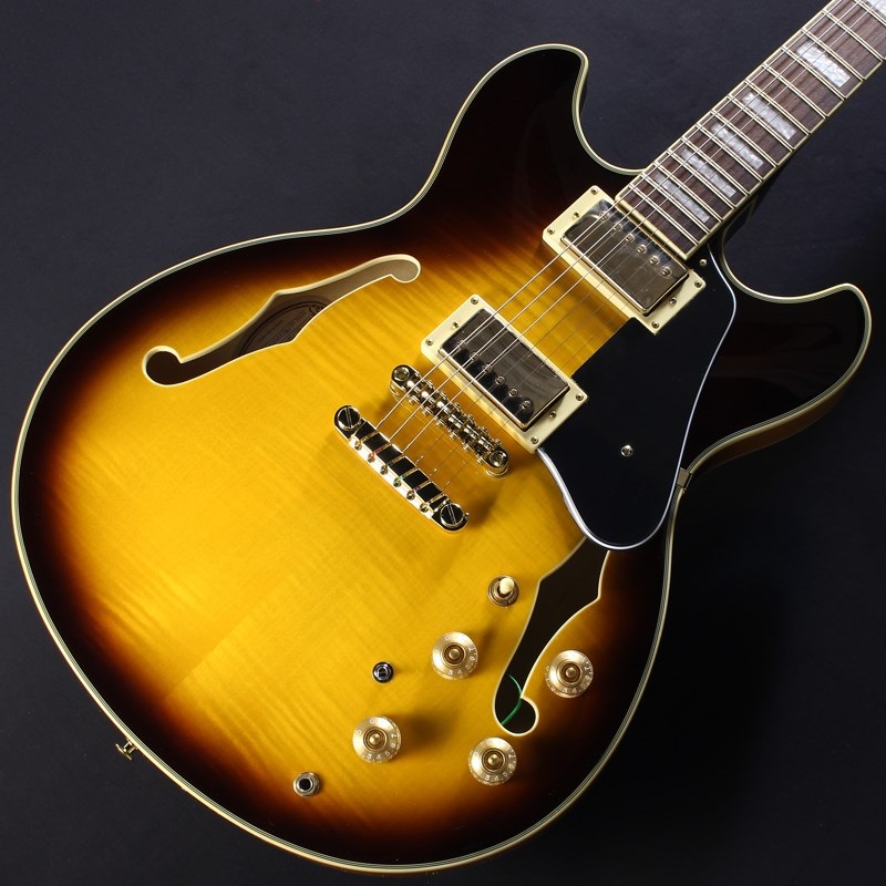 Ibanez JSM10EM-TTB (Two-tone Burst) [John Scofield Model] [SPOT MODEL] #PW24060547 画像2