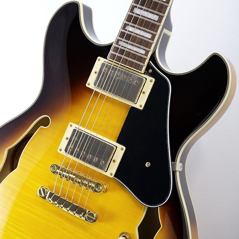 Ibanez JSM10EM-TTB (Two-tone Burst) [John Scofield Model] [SPOT MODEL] 画像3