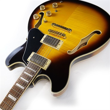 Ibanez JSM10EM-TTB (Two-tone Burst) [John Scofield Model] [SPOT MODEL] 画像5