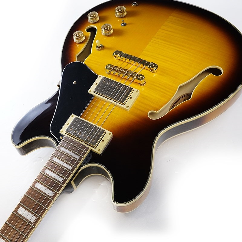 Ibanez JSM10EM-TTB (Two-tone Burst) [John Scofield Model] [SPOT MODEL] 画像5