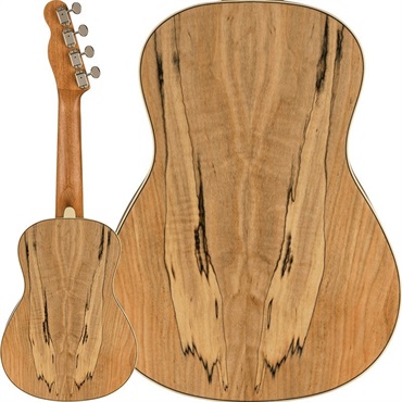 Fender Acoustics 【数量限定特価】【クリスマススペシャルSALE】 ZUMA EXOTIC CONCERT UKULELE (Spalted Maple) フェンダー 画像1