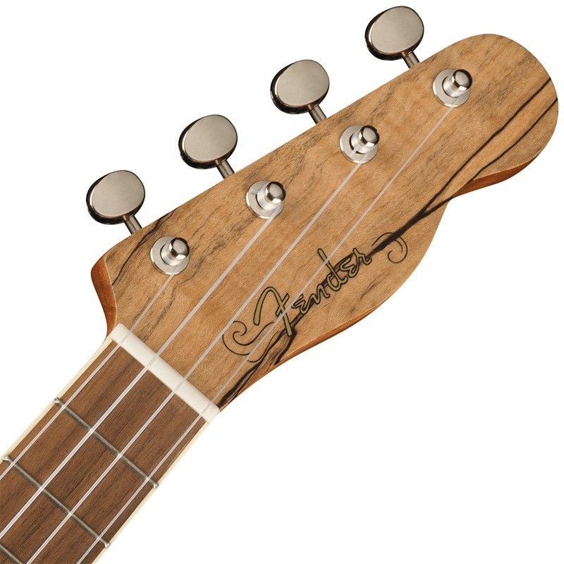 Fender Acoustics 【数量限定特価】【クリスマススペシャルSALE】 ZUMA EXOTIC CONCERT UKULELE (Spalted Maple) フェンダー 画像3