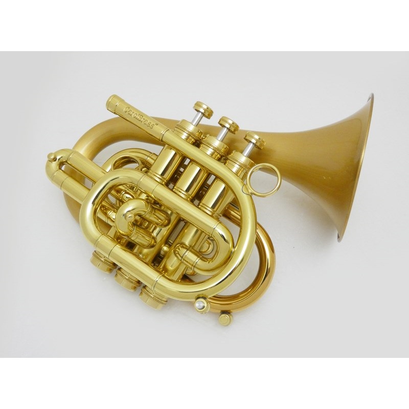 CAROL BRASS キャロルブラス / N7000 SATIN-BELL GB (Dizzy) 【Bb ポケット トランペット 】  ｜イケベ楽器店オンラインストア