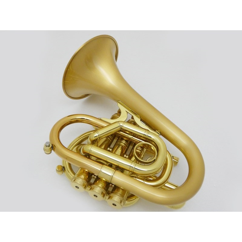 CAROL BRASS キャロルブラス / N7000 SATIN-BELL GB (Dizzy) 【Bb ポケット トランペット 】  ｜イケベ楽器店オンラインストア