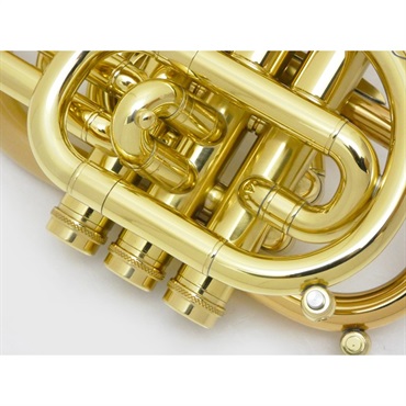 CAROL BRASS キャロルブラス / N7000 SATIN-BELL GB (Dizzy) 【Bb ポケット トランペット 】  ｜イケベ楽器店オンラインストア