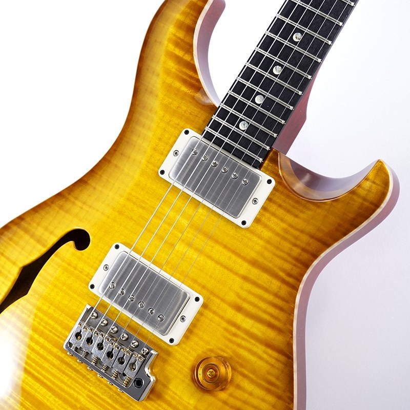 P.R.S. DGT Semi-Hollow Limited Edition (McCarty Sunburst) SN.0391097 画像3