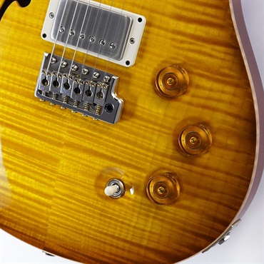 P.R.S. DGT Semi-Hollow Limited Edition (McCarty Sunburst) SN.0391097 画像4