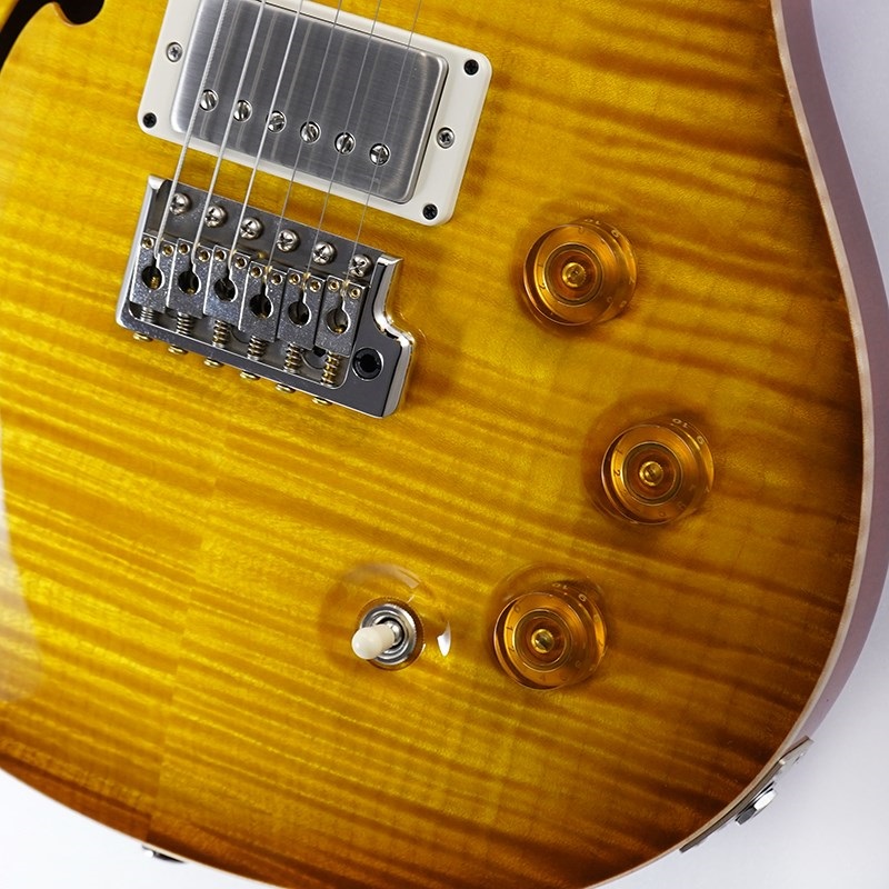 P.R.S. DGT Semi-Hollow Limited Edition (McCarty Sunburst) SN.0391097 画像4