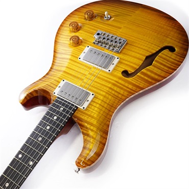 P.R.S. DGT Semi-Hollow Limited Edition (McCarty Sunburst) SN.0391097 画像5