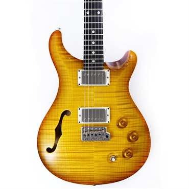 P.R.S. DGT Semi-Hollow Limited Edition (McCarty Sunburst) SN.0391097 画像10