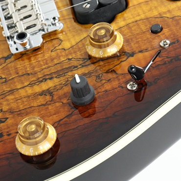 JAMES TYLER Japan Studio Elite HD Rear Route HSH (Tobacco Sunburst/Black Headstock) [SN.J24144] 画像5