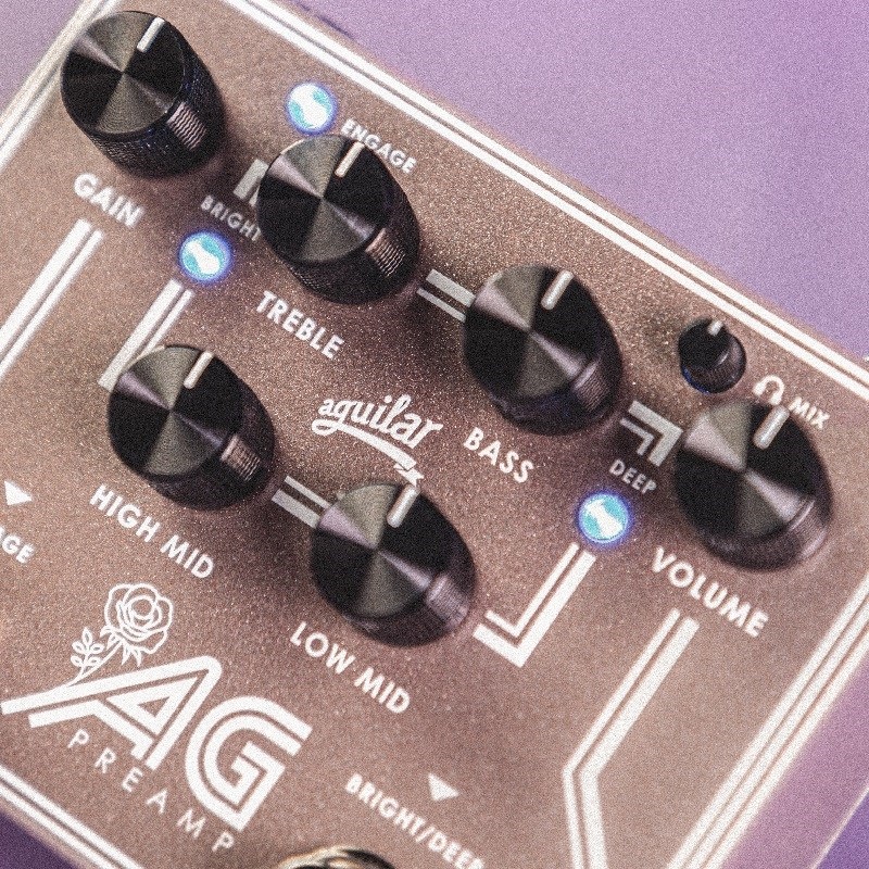 Aguilar AG PREAMP BCAM 画像3