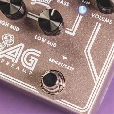 Aguilar AG PREAMP BCAM 画像4