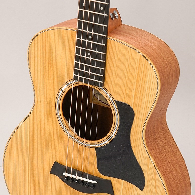 TAYLOR GS Mini　Sapele テイラー 画像6