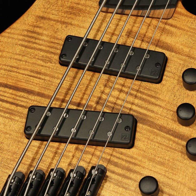 Strandberg Boden Bass Prog 5 Brown 画像2