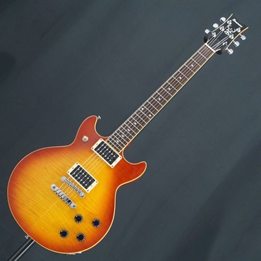 Ibanez 【USED】AR250-HS【SN.C02120796】 画像2