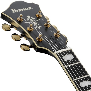 Ibanez 【10月中旬以降入荷予定】 ARTSTAR PM3C-BKL (Black Low Gloss) [Pat Metheny Model] [SPOT MODEL] 画像4