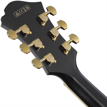 Ibanez 【10月中旬以降入荷予定】 ARTSTAR PM3C-BKL (Black Low Gloss) [Pat Metheny Model] [SPOT MODEL] 画像5