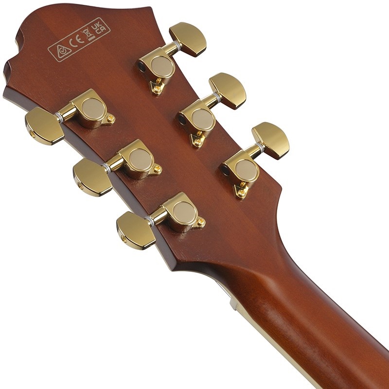 Ibanez 【10月中旬以降入荷予定】 ARTSTAR PM3C-NAL (Natural Amber Low Gloss) [Pat Metheny Model] [SPOT MODEL] 画像5