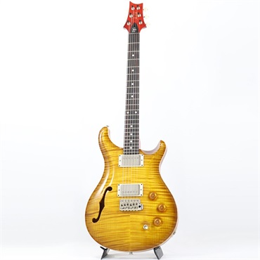 P.R.S. DGT Semi-Hollow Limited Edition (McCarty Sunburst) [SN.0391529] 画像1