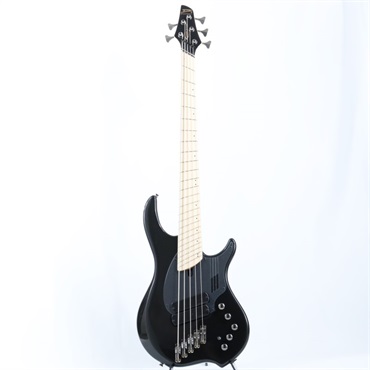 DINGWALL NG-2 5strings Adam Nolly Getgood Signature Model (Metallic Black) #17259 画像1