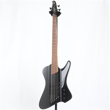 DINGWALL D-Roc Standard 5strings (Matte Metallic Black) 画像1