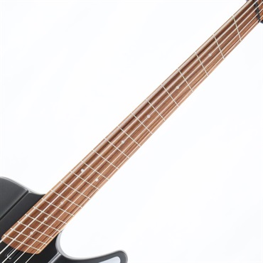 DINGWALL D-Roc Standard 5strings (Matte Metallic Black) 画像2